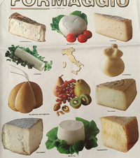 GREMBIULE C/PETT GRE023 SCHIZZO Tellini S.r.l. Ingrosso Abbigliamento